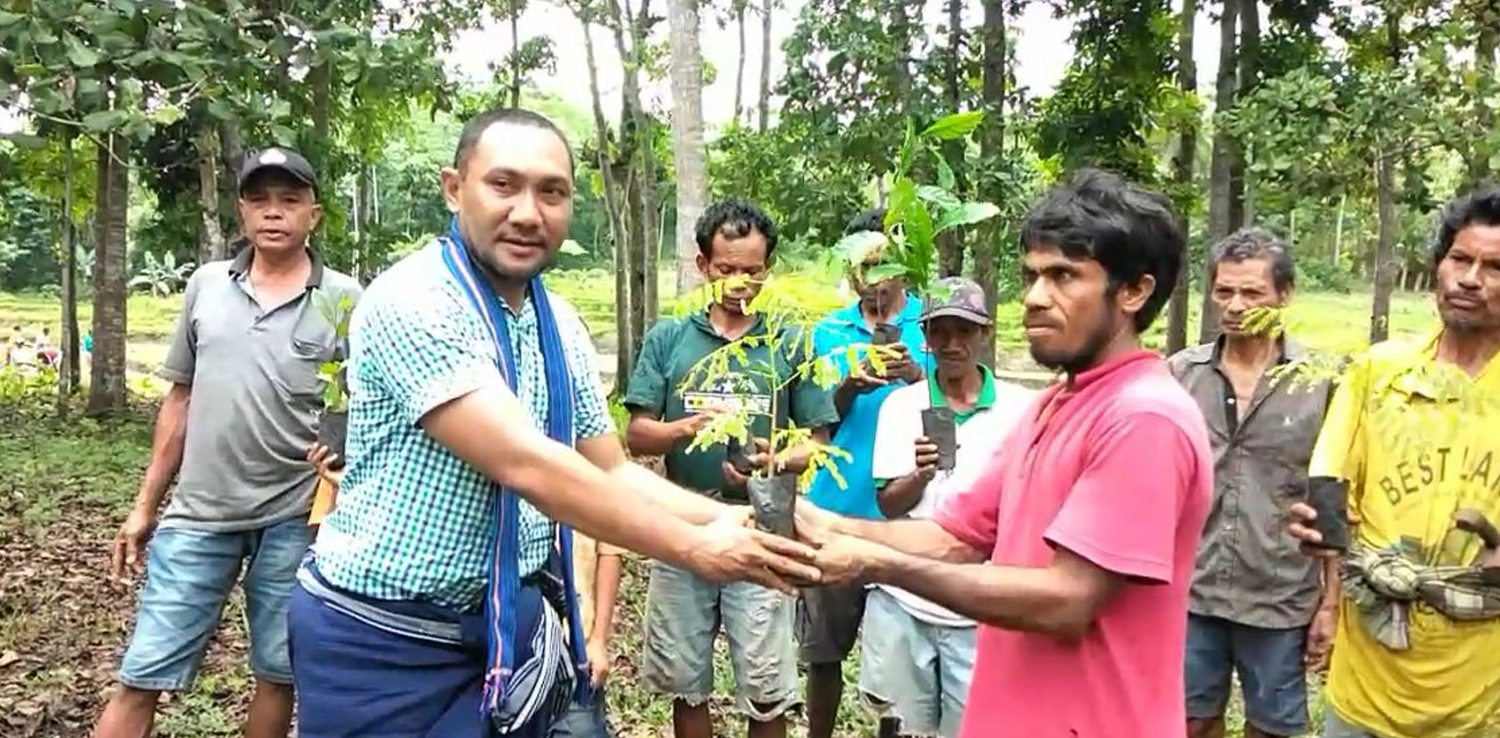 Orang yang sedang menyerahkan tanaman