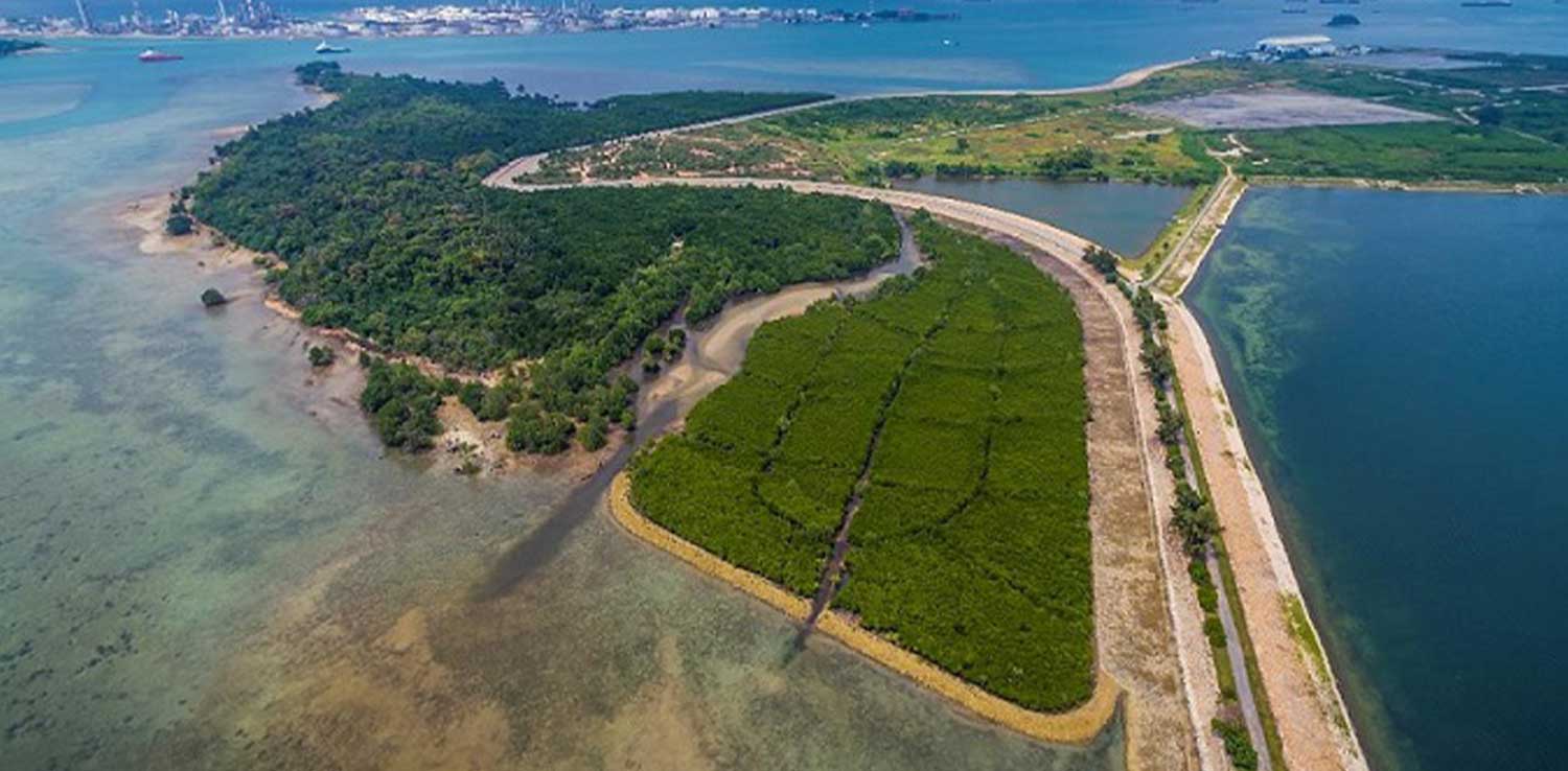 The green landscape of Semakau Island in Singapore