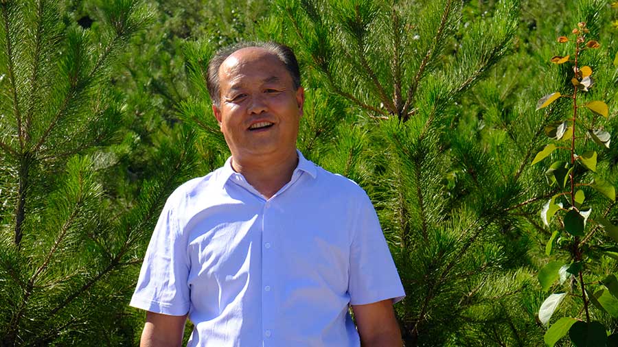 The picture of Zhang Junping smiling, wearing white shirt in the area that he transformed into green paradise