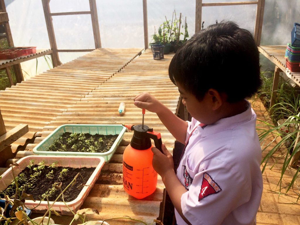 An elementary school student working on his seeding project | Photo: School of Global Madani