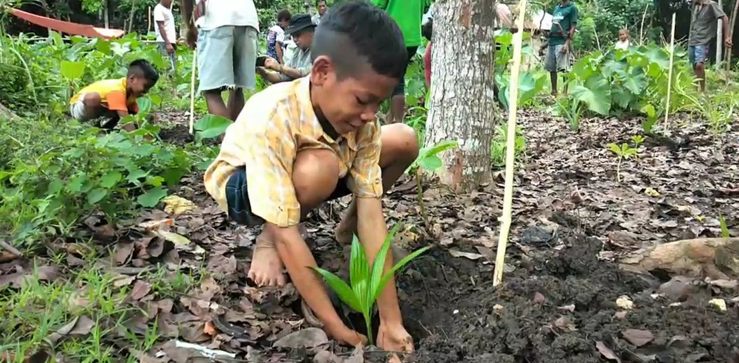 Seorang anak kecil yang sedang menanam pohon