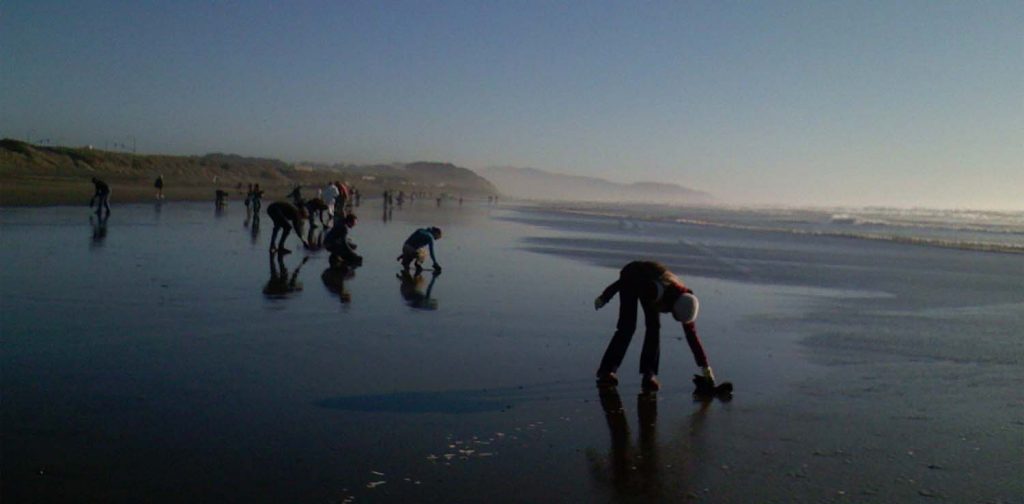 silhouette of people at the ocean beach in san fransisco using hair mats to clean up oil spill at dawn