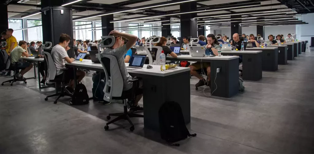 rows of people doing digital office works in front of their laptops