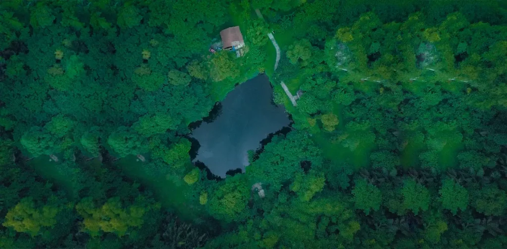 an aerial shot of a lake surrounded by forests
