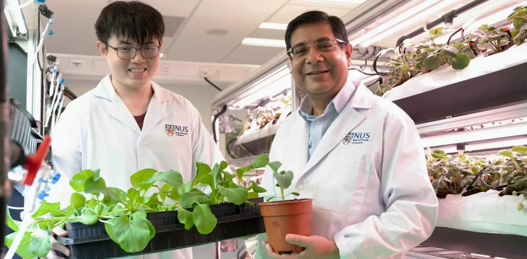 two men, Associate Professor Sanjay Swarup (right) with Dr Darren Sim (left), holding pots of plants in a lab