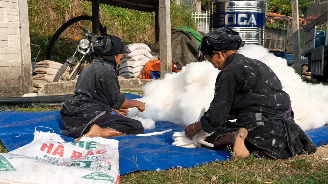 two female workers are working in front of a heap of cotton with their backs facing the camera