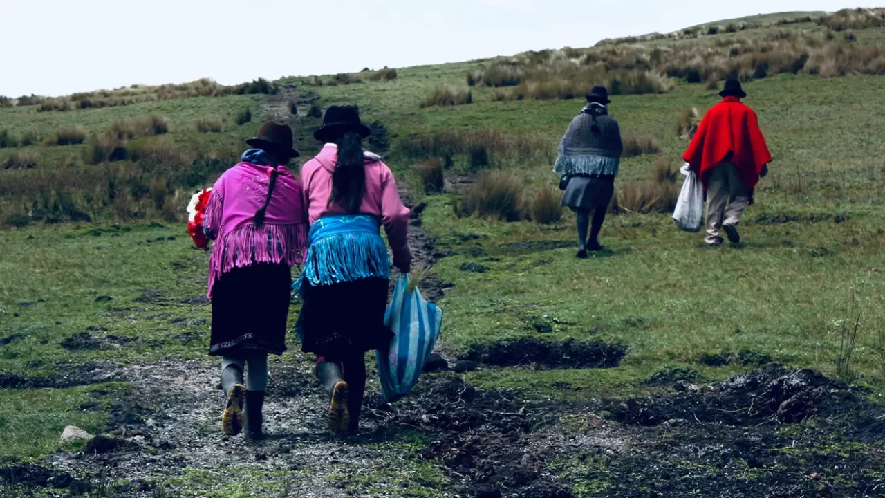 four people are climbing on a green valley with their backs facing the camera, like they are returning from somewhere. In the front are a man and woman walking, while two women are tailing behind them.