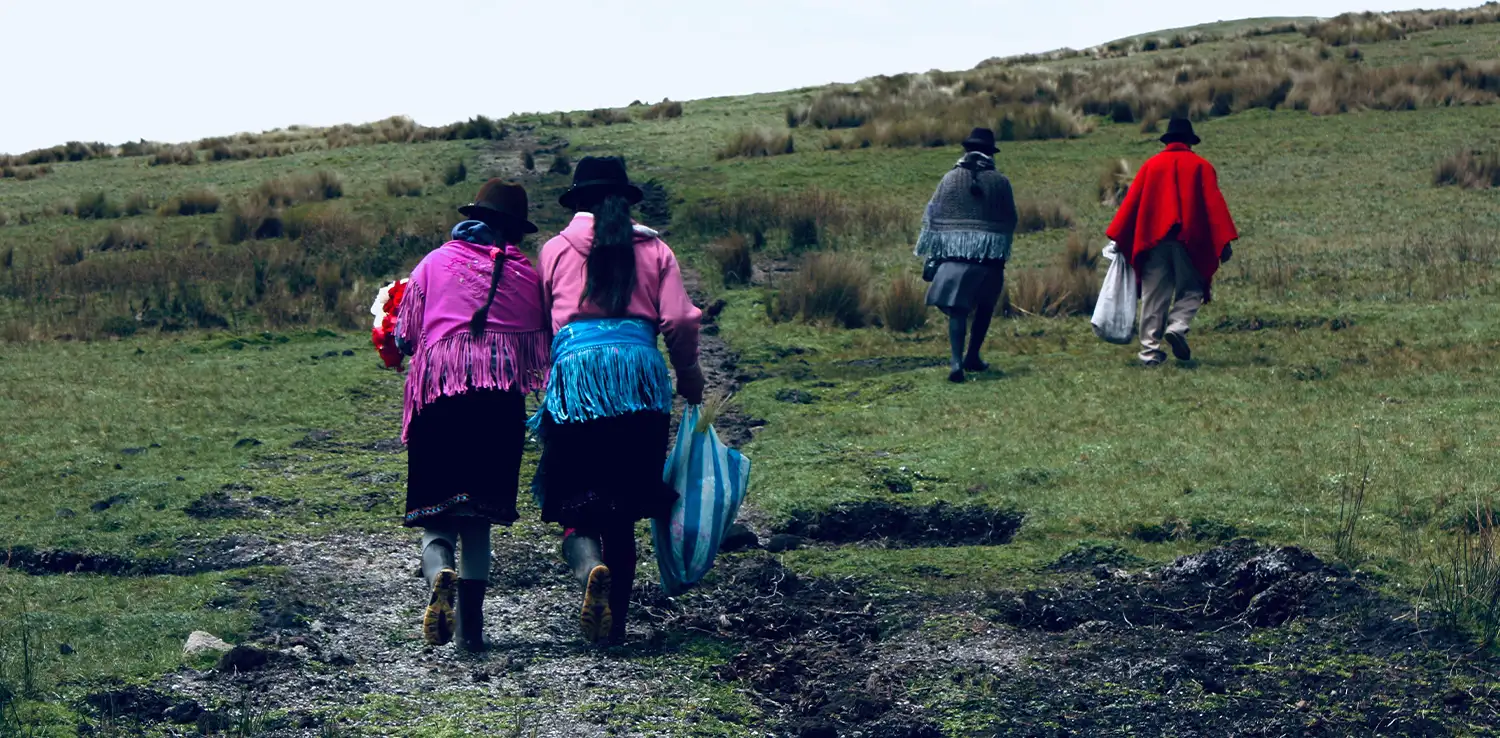 four people are climbing on a green valley with their backs facing the camera, like they are returning from somewhere. In the front are a man and woman walking, while two women are tailing behind them.