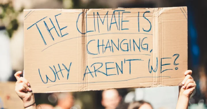 cardboard with writing THE CLIMATE IS CHANGING, WHY AREN'T WE? at a global climate change protest