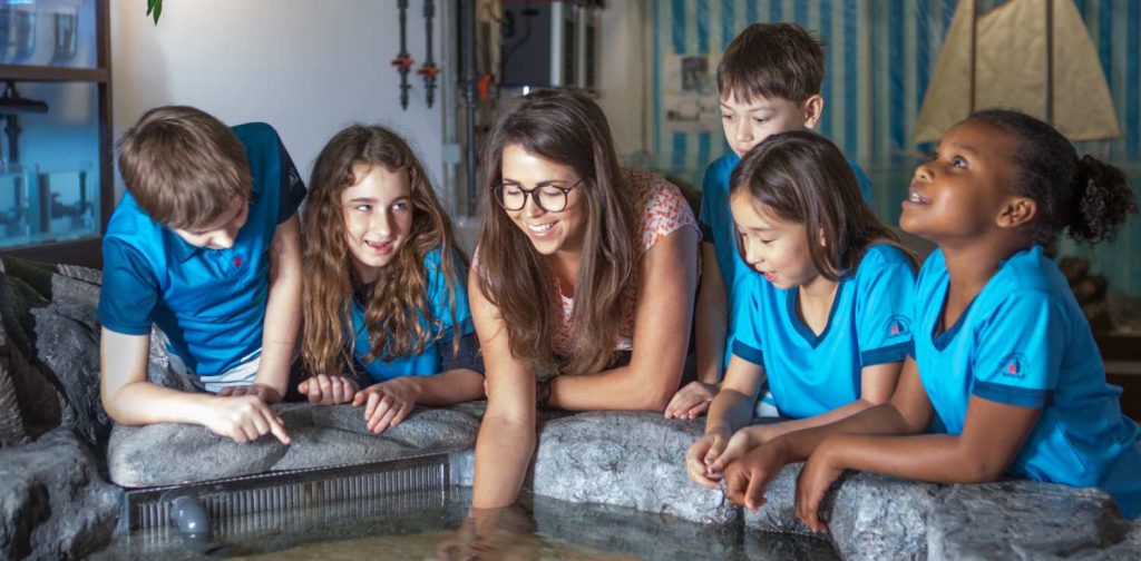 a female teacher and five diverse students are learning at the touch pool with starfish inside