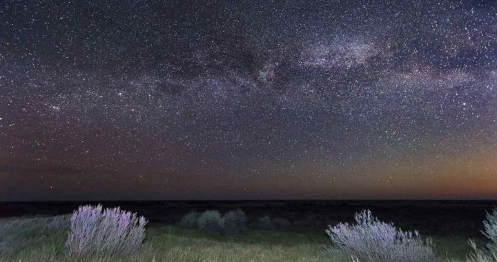 a night sky full of stars over kazakhstan’s golden steppe the altyn dala
