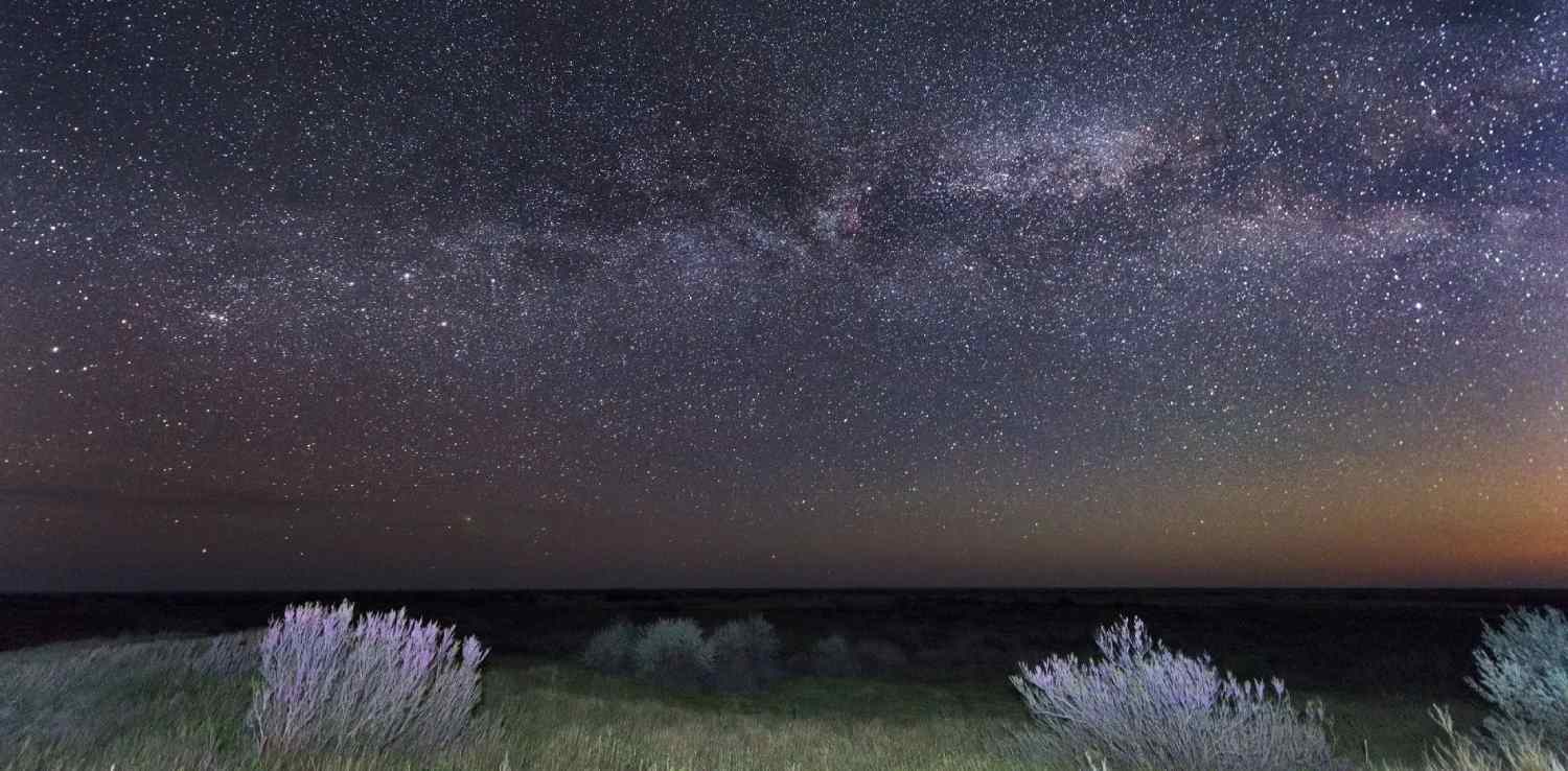 a night sky full of stars over kazakhstan’s golden steppe the altyn dala