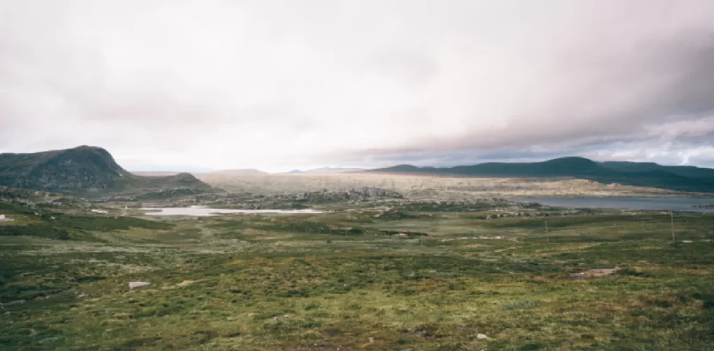 an empty green field