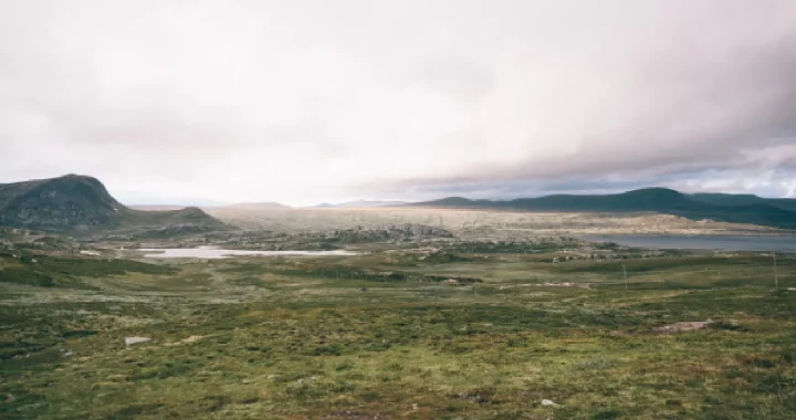 an empty green field