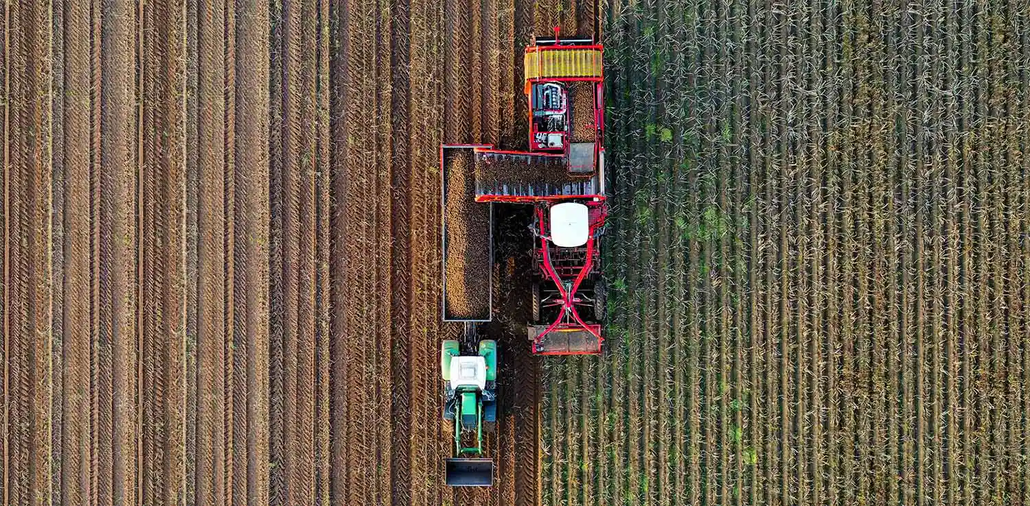 an aerial shot of two trucks in the middle of plantation field