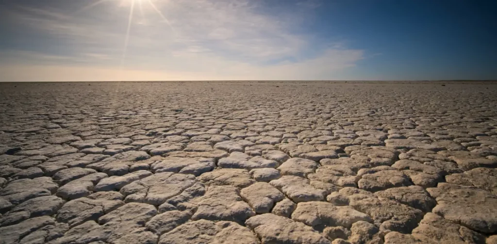 cracked soil due to drought