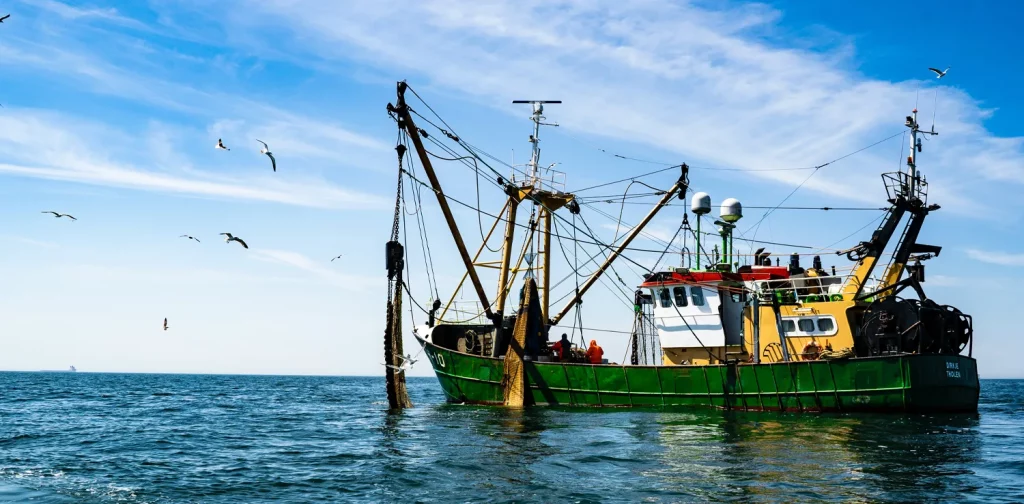 a fishing vessel in the middle of the sea surrounded by birds