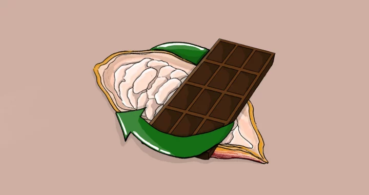 Illustration of cocoa pod and chocolate bar in a green circular arrow