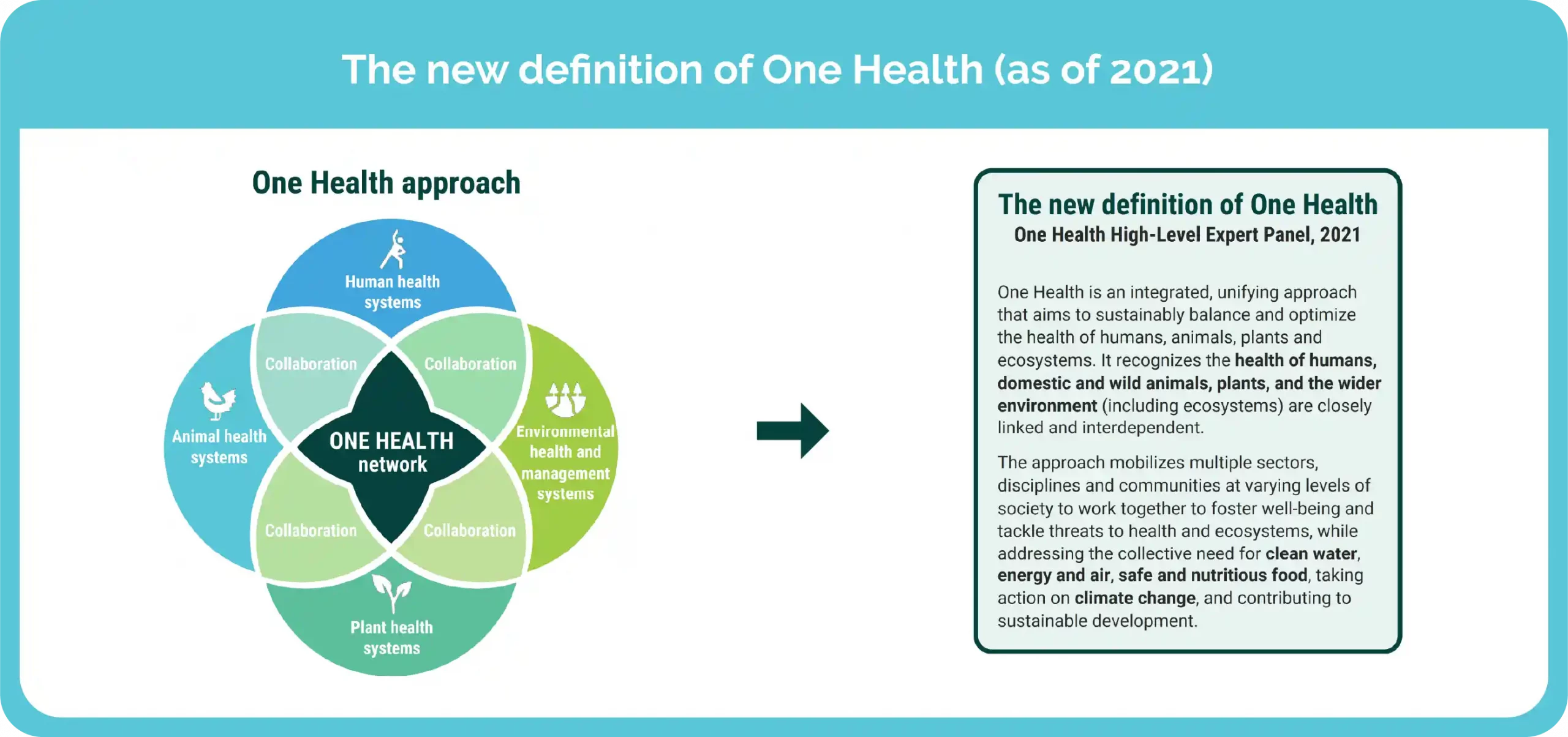 diagram and definition of one health that links human, animal, plant, and environmental health