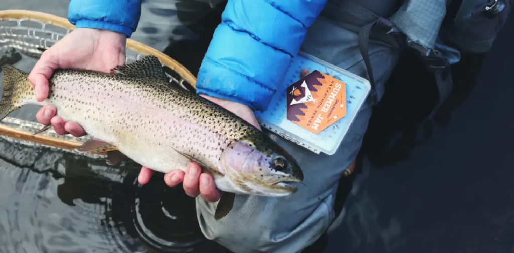 a person holding a fish