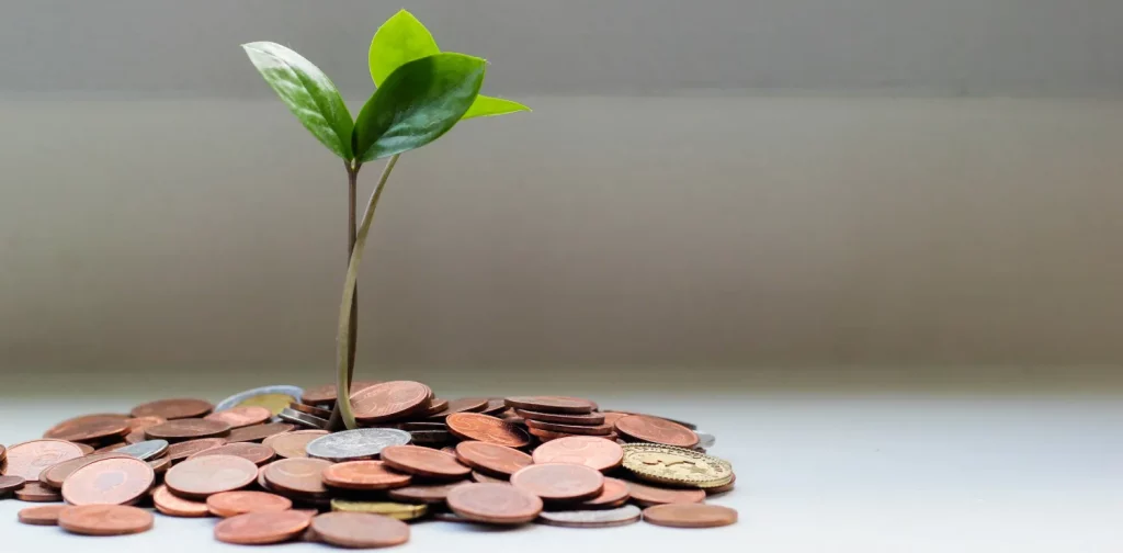 a stack of coin with a plant on top of it