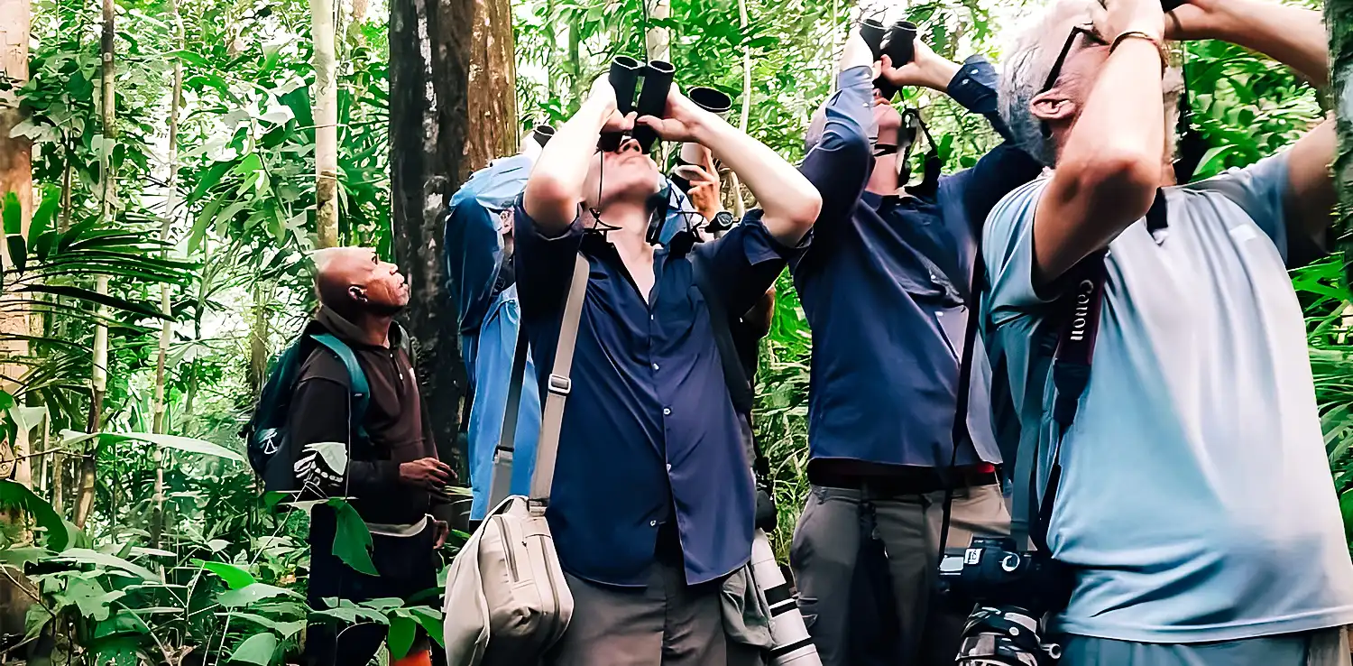 people in a forest looking up through binoculars
