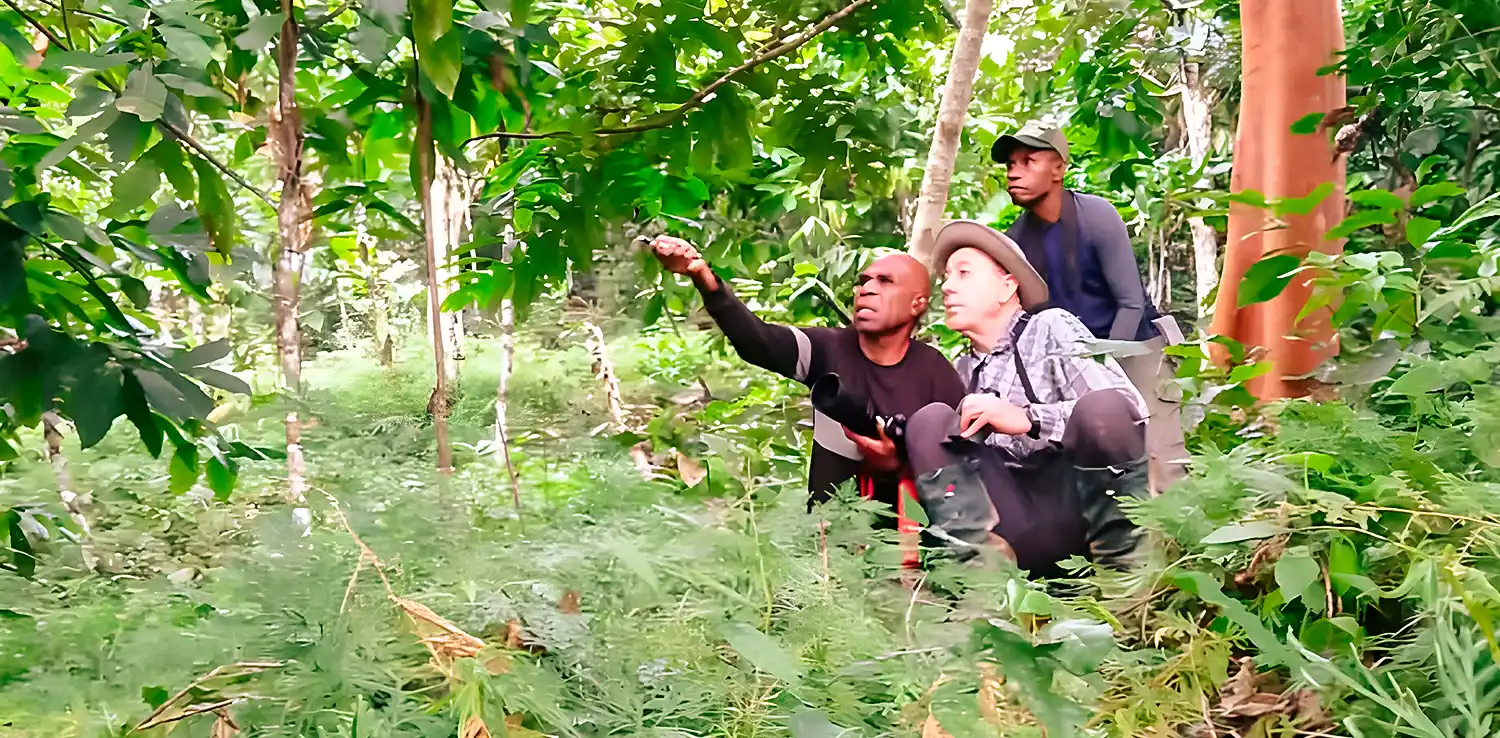 three men in a forest