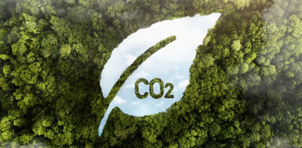 an aerial photo of a forest with a leaf-shaped illustration with the word CO2 on it.