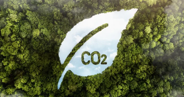 an aerial photo of a forest with a leaf-shaped illustration with the word CO2 on it.