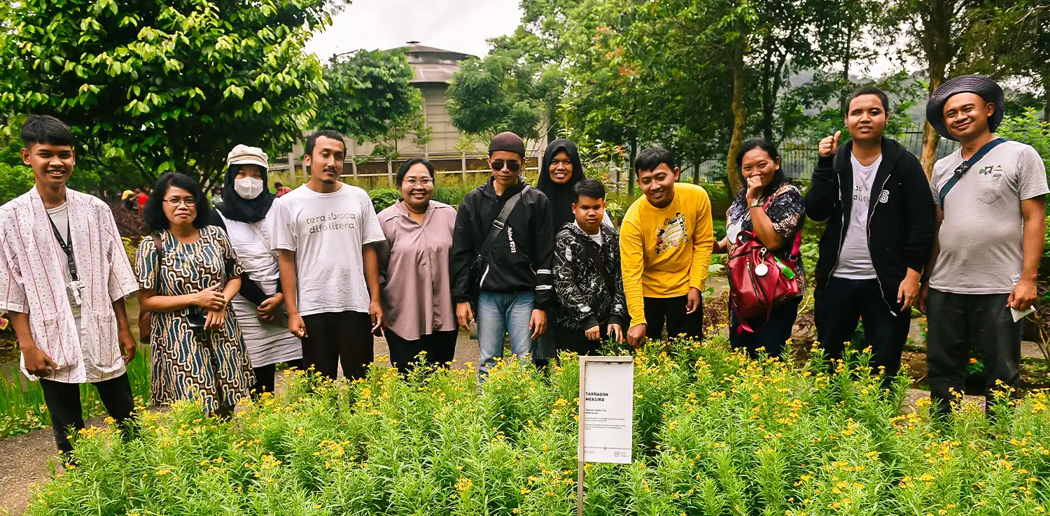 a group of people standing near the plants which produce essential oils.