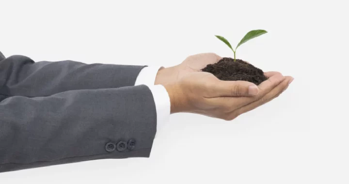 hands clad in suit holding soil with a plant sprouting from it