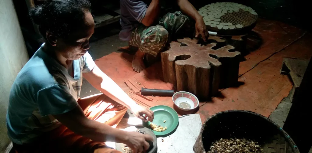 A woman sitting on the floor pounding melinjo seeds