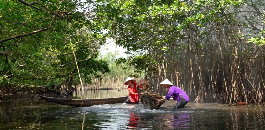 Local community fishing in mangrove area