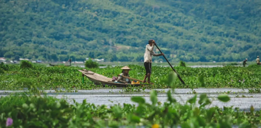 two people on a small boat in a body of water covered with plants