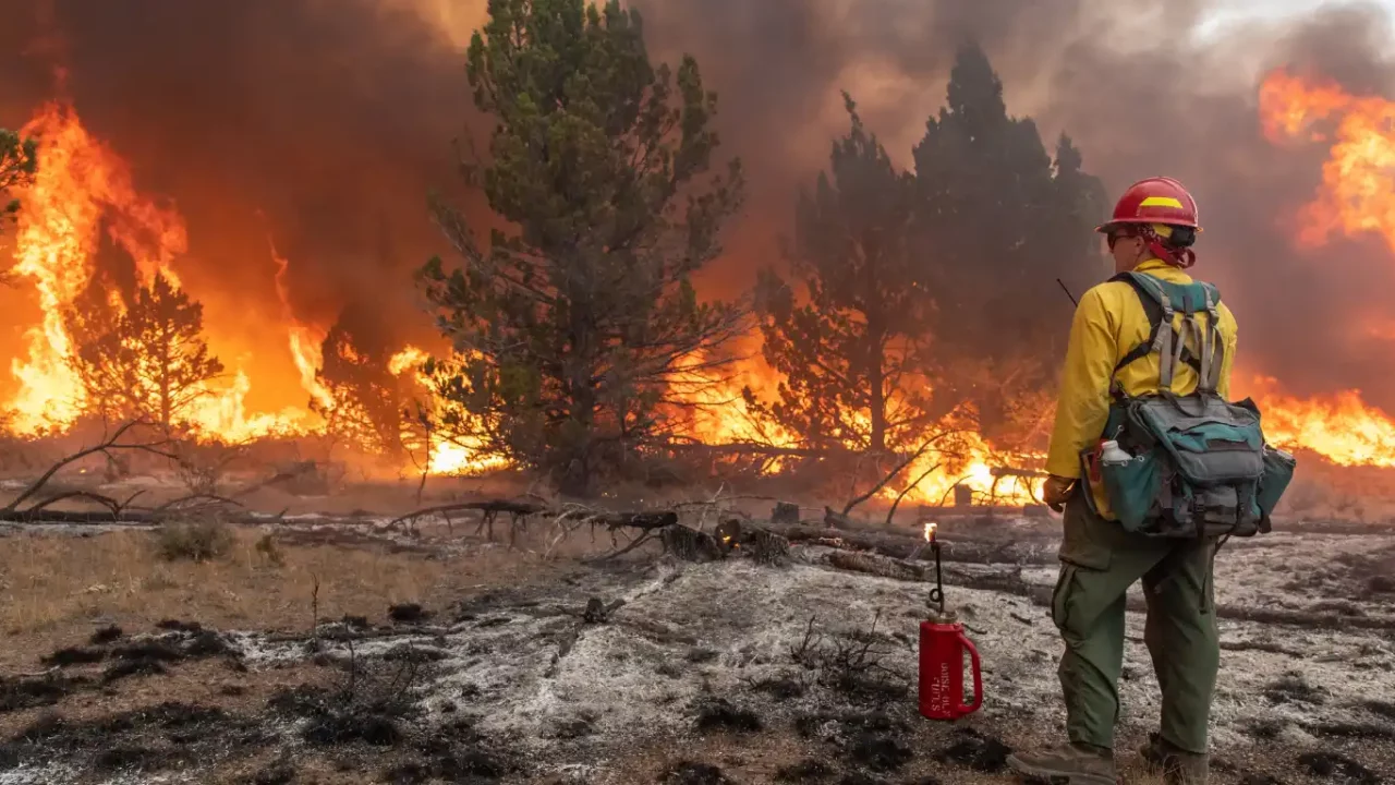 firefighter stands before widlfire