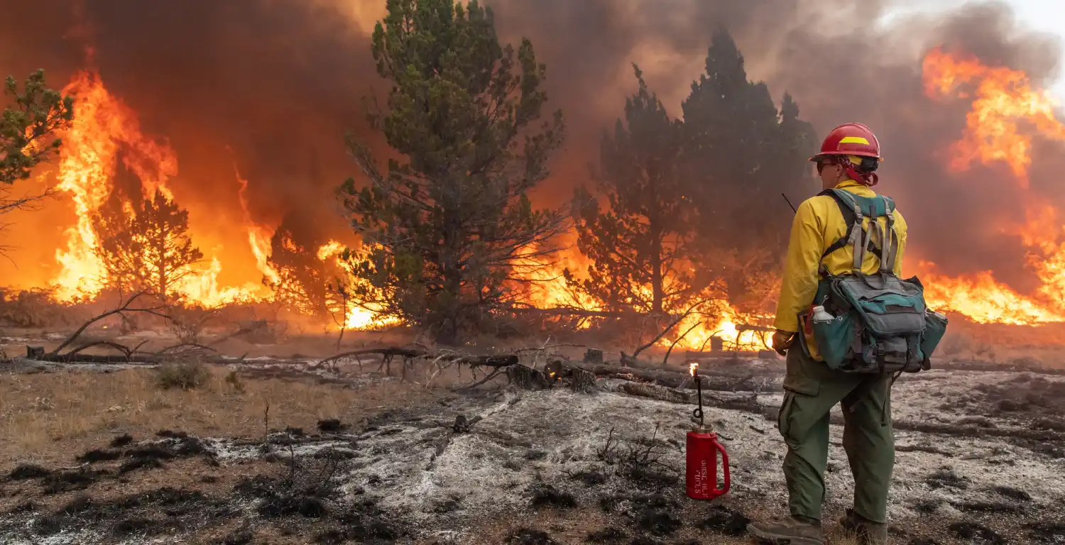 firefighter stands before widlfire
