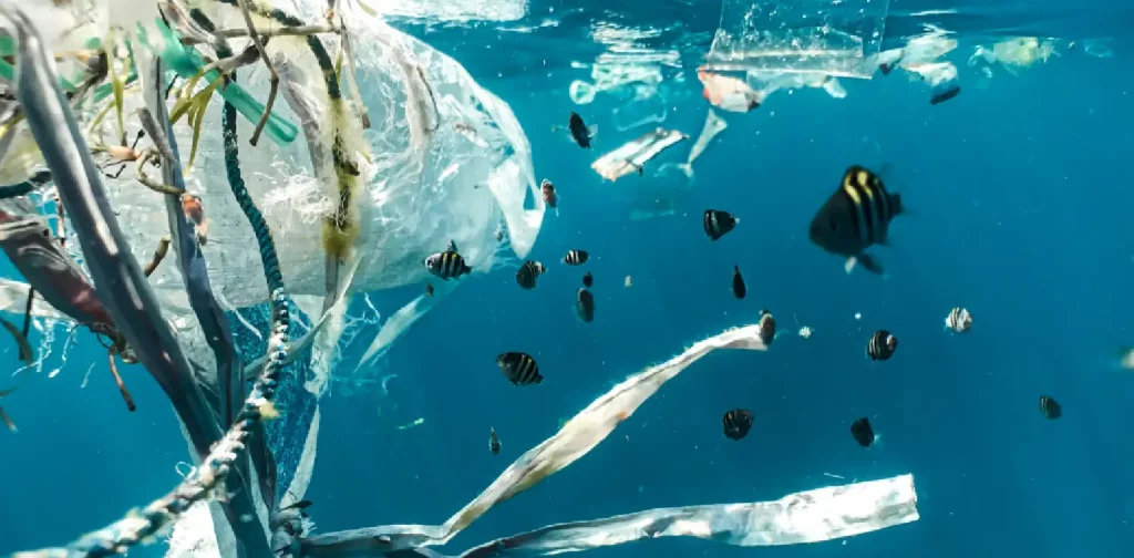 a group of fish swimming in the middle of plastic-filled ocean