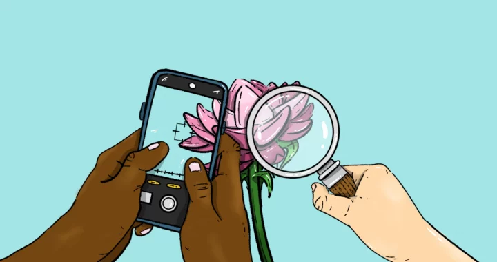 an illustration by irhan of a phone and a magnifying glass pointing to a flower species