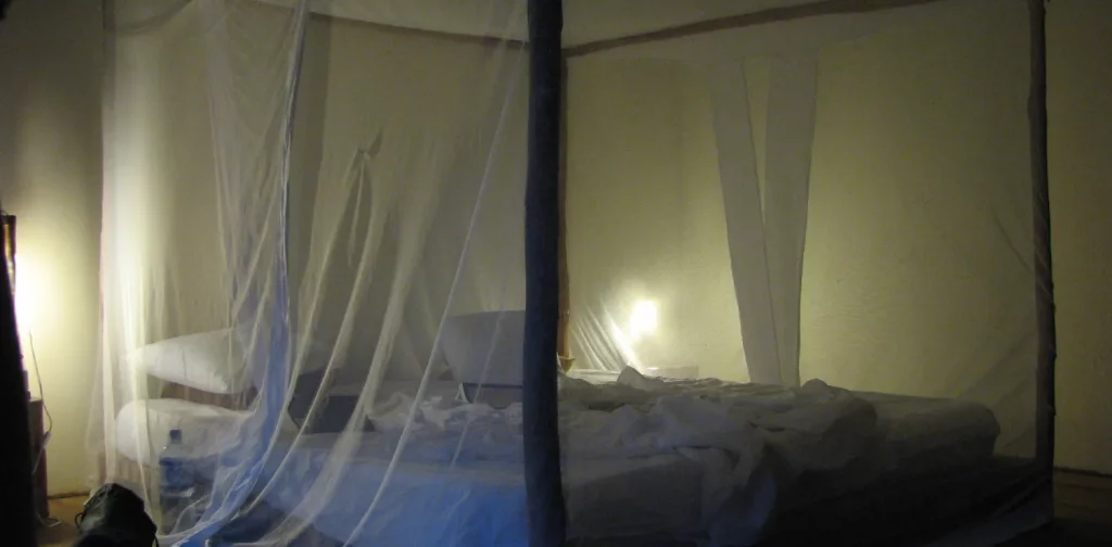 Bed with mosquito net