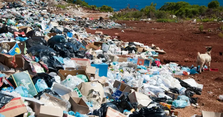 a garbage dump containing plastic bottles, cardboard boxes, and plastic bags