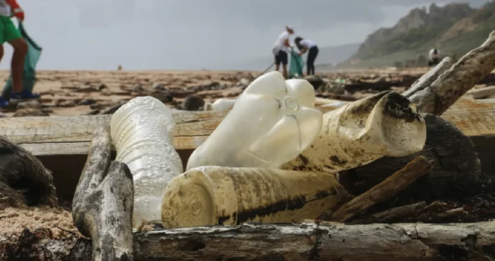 plastic waste on the beach