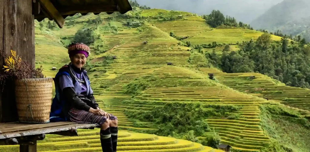 old farmer lady sitting in front of rice fields