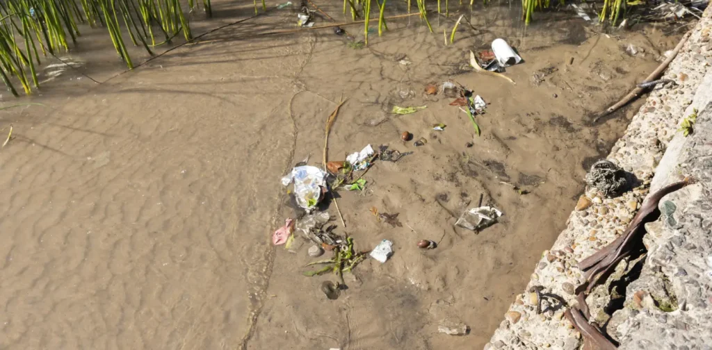 garbage-polluted river from above