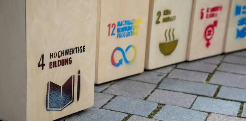 boxes with sdg logo