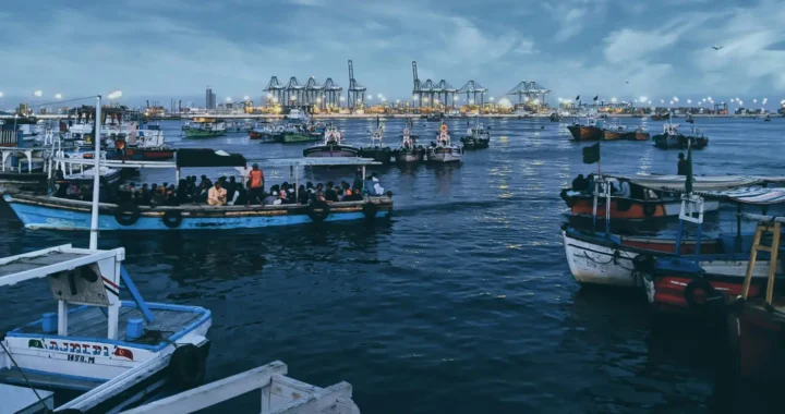 several boats on the sea