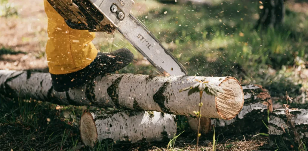 a person cutting woods with a chainsaw