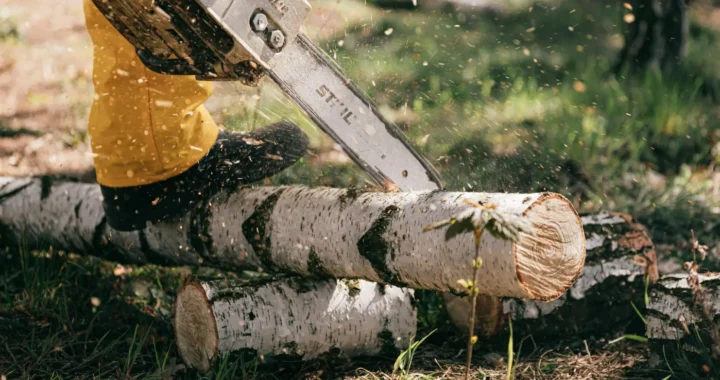 a person cutting woods with a chainsaw