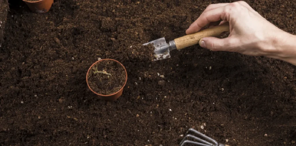 Hand doing mini activities with soil