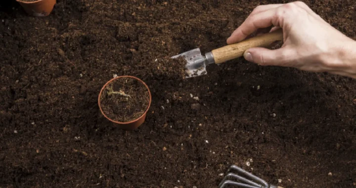 Hand doing mini activities with soil