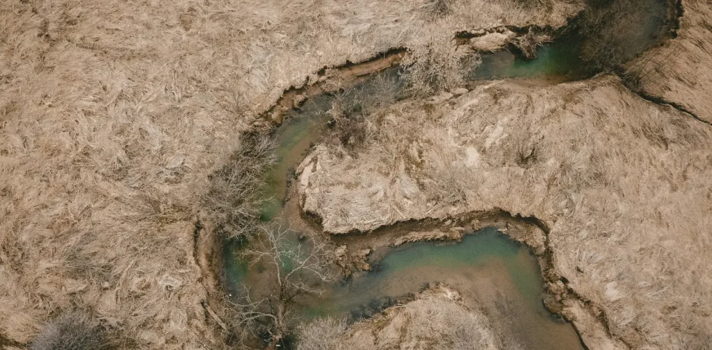 aerial view of a drying river with dried vegetation at the sides